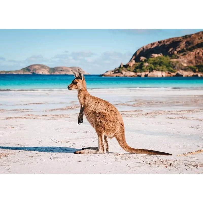 Puzzle Island Archway + Kangourou