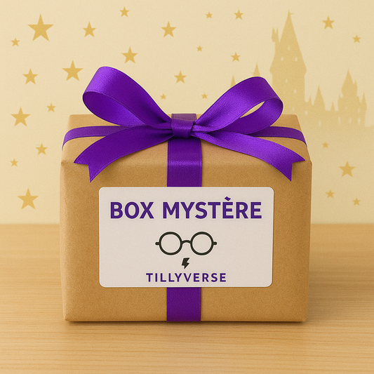 Box Mystère Harry Potter – TILLYVERSE