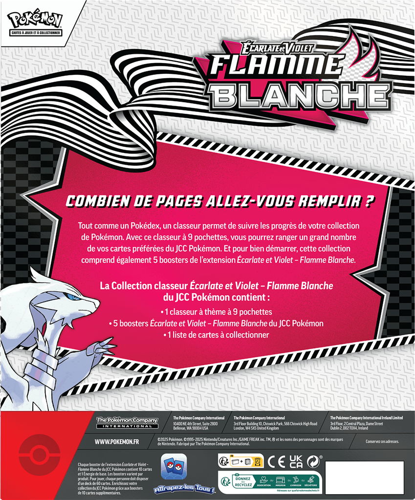Pokémon Portfolio A4 + 5 Boosters – Flamme Blanche (Écarlate & Violet)